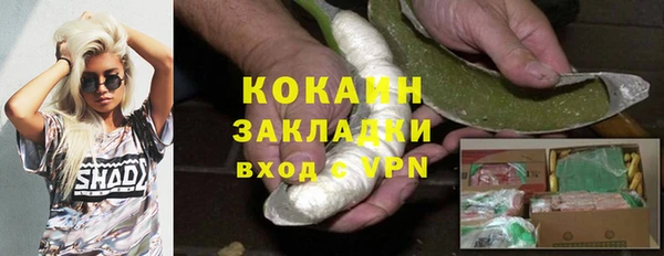 apvp Богданович