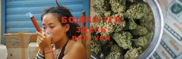 apvp Богданович