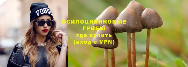 скорость Богородицк