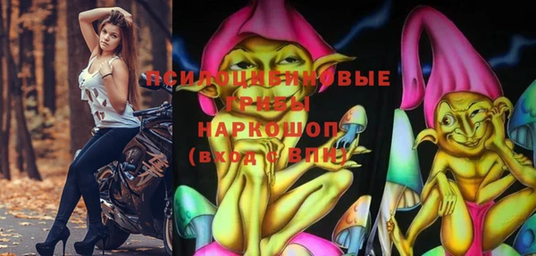 apvp Богданович
