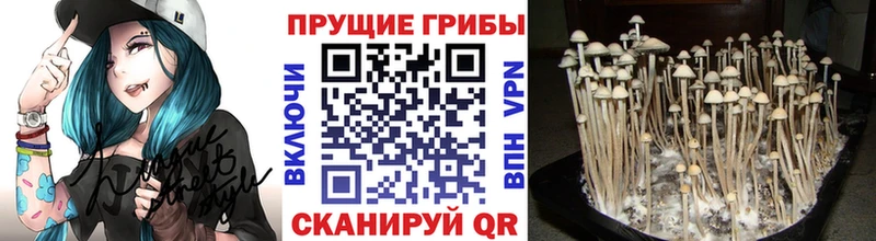 Купить  Кизел  Галлюциногенные грибы ЛСД 