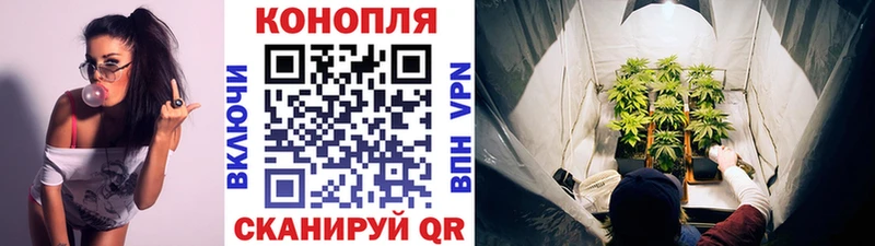 Шишки марихуана гибрид  Купить где  Кизел 